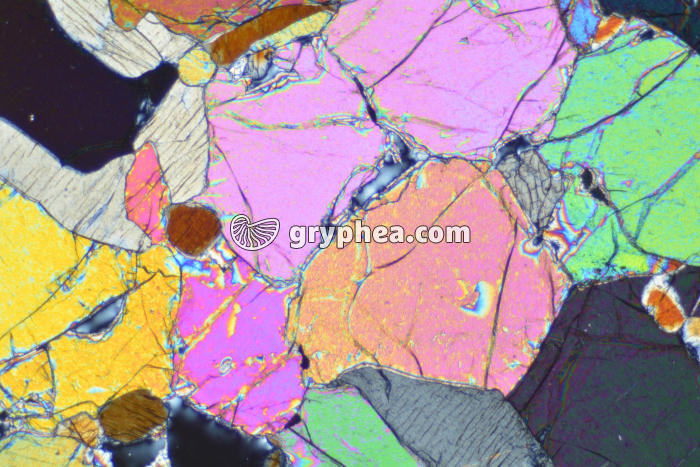 Péridotite LPA x10 - gryphea.com